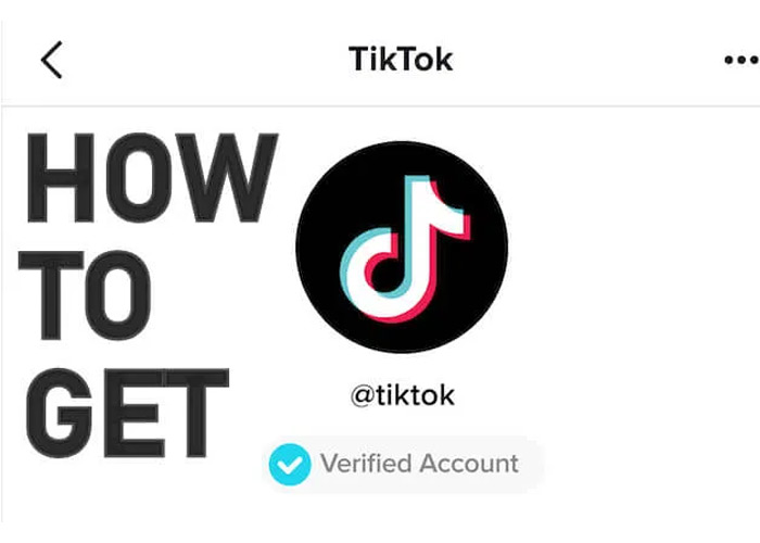 How To Get Verified On Tiktok The Blue Checkmark Verification