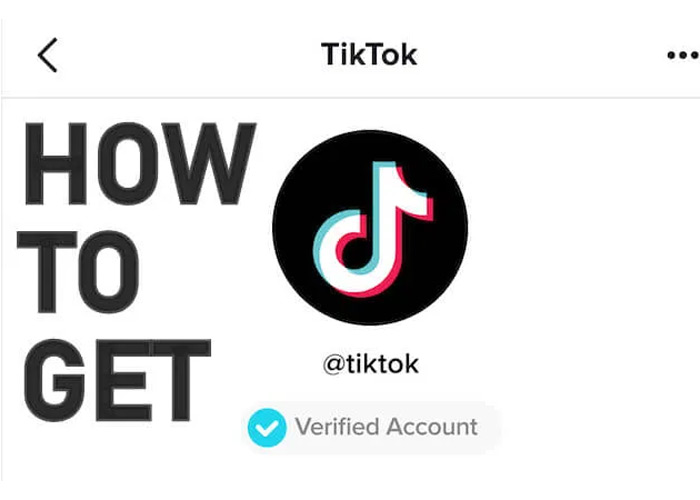 tiktok email verification