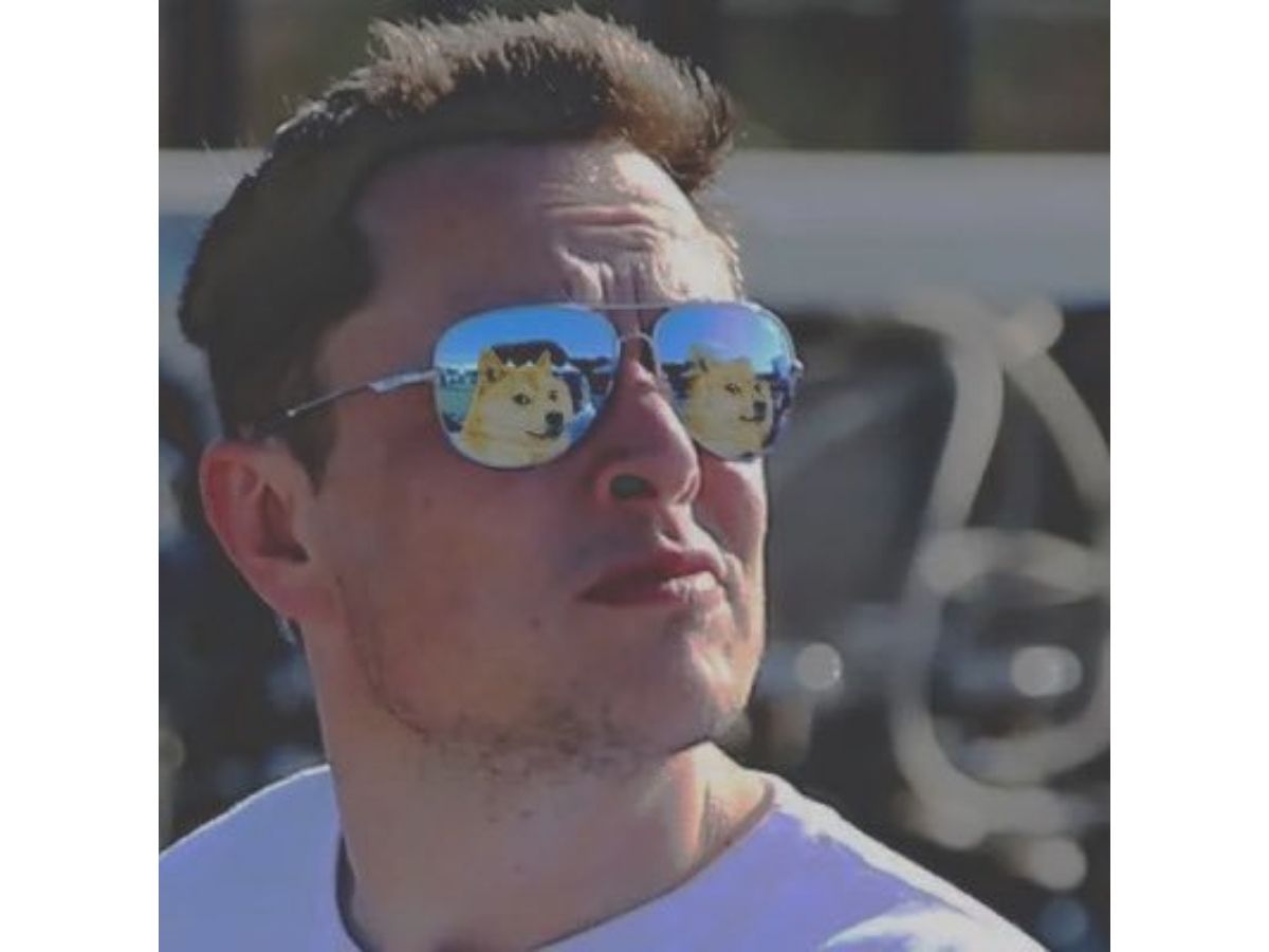 Elon Musk's Twitter profile picture change sends Dogecoin soaring