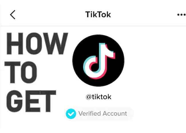 how to get verified on TikTok