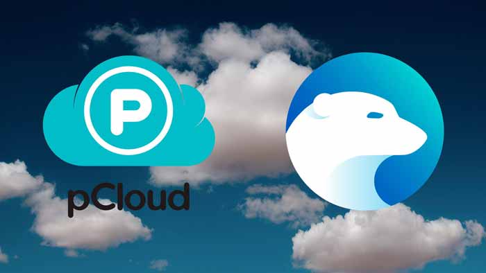 Icedrive vs. pCloud