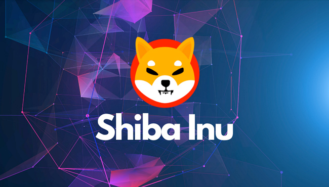 shib coin – Trends