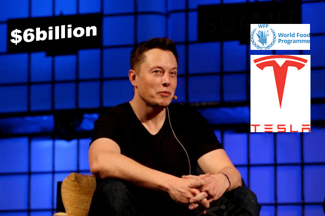 Elon Musk WFP : Musk willing to donate $6billion to solve world hunger