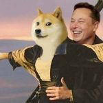 Elon Musk dogecoin