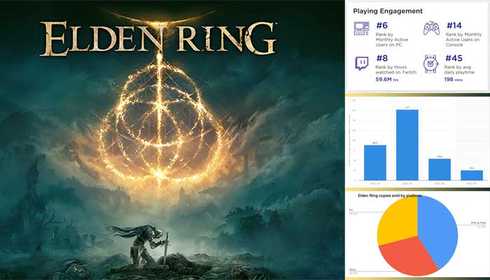 Elden Ring Player Statistics