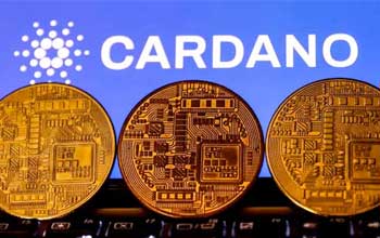 What is Cardano Metaverse Project Pavia