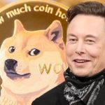 Dogecoin by Elon Musk