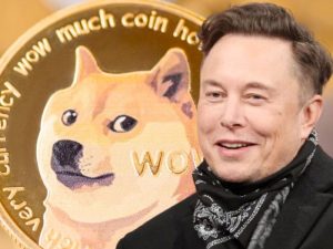 Dogecoin by Elon Musk