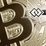 SegWit