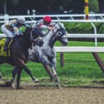 Online Sportsbook Markets